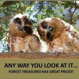 HOO wants a GREAT DEAL????